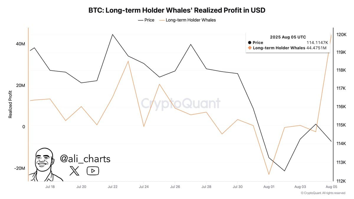 120K BTC Bought on the Dip as Bitcoin Price Hits $116K