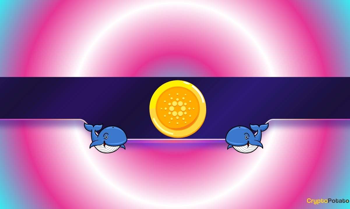 200,000,000 ADA in Just 2 Days: Are Cardano Whales Preparing for Something?