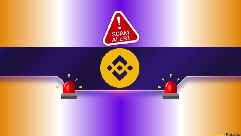 Binance CEO Sounds the Alarm About a Dangerous Scam: Details