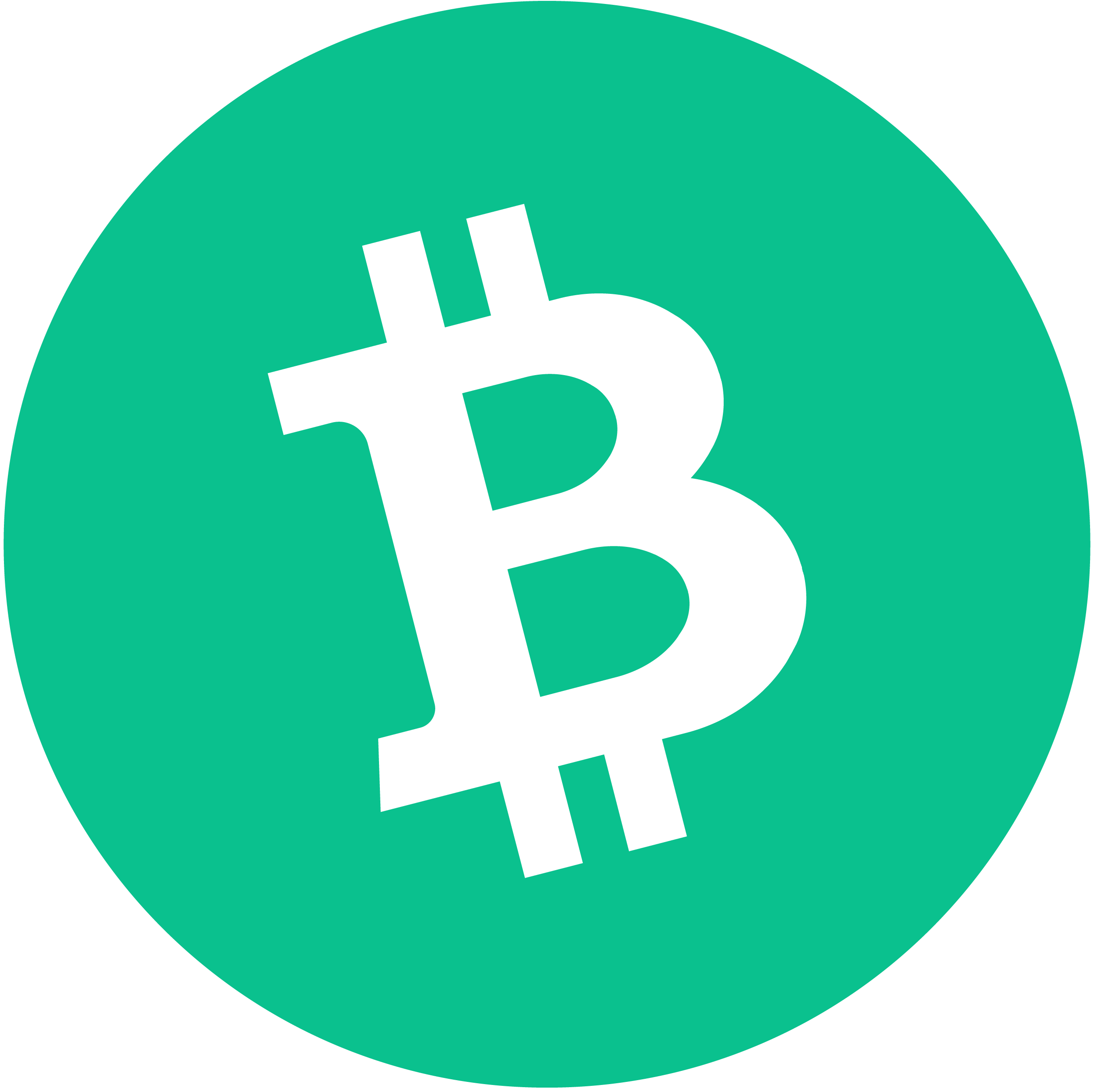 Bitcoin Cash: Can It Ever Replace the Real Bitcoin?