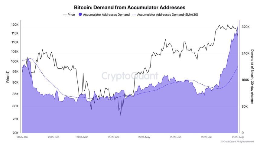 Bitcoin Demand Holds Strong Despite Price Drop: Accumulation Trend Remains Intact