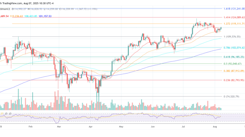 Bitcoin Faces A Black Swan — Bitwise Sounds The Alarm