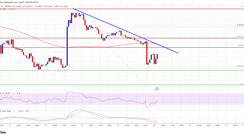 Bitcoin Price Declines Further, Can Buyers Prevent Another Sharp Drop?