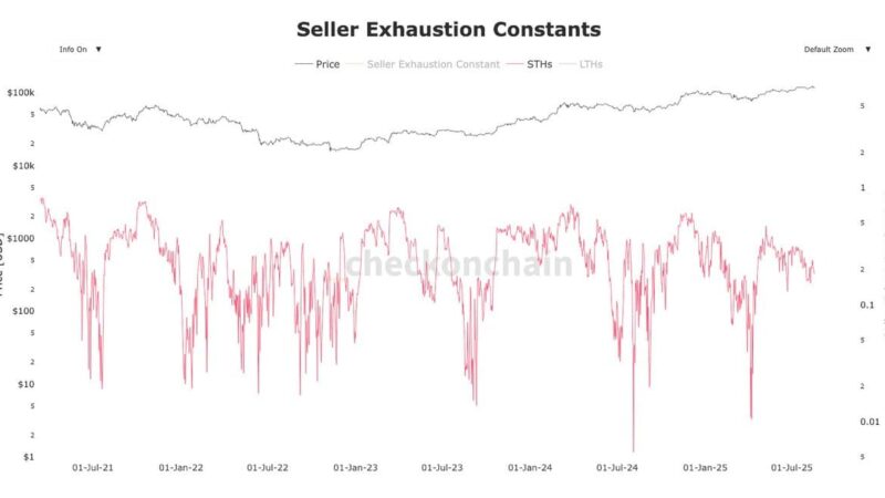 Bitcoin Price Drops 6% from ATH: Is It Time to Panic?