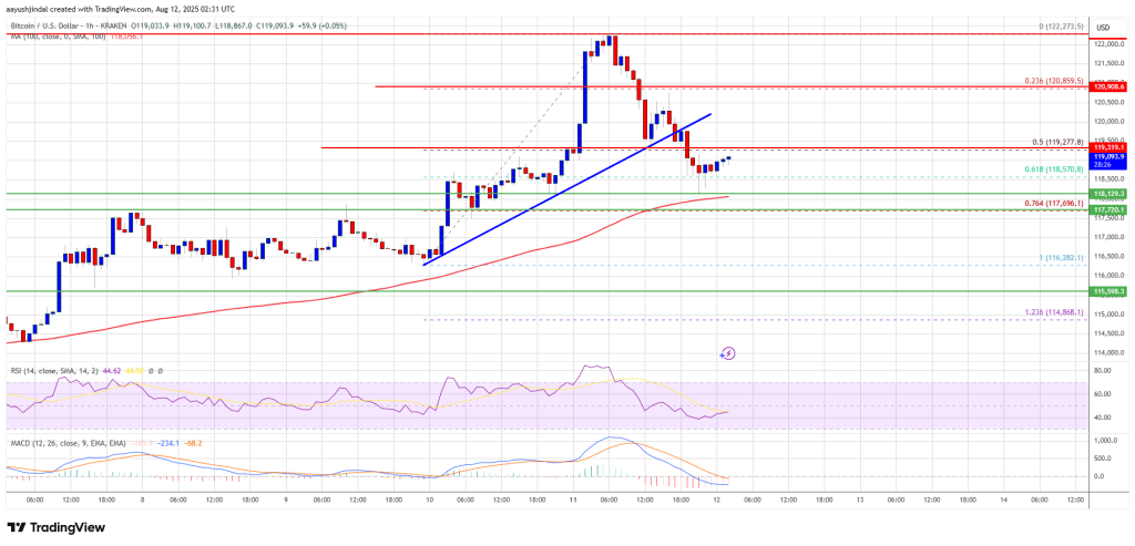 Bitcoin Price Eases From Highs—Bounce Back on the Horizon?