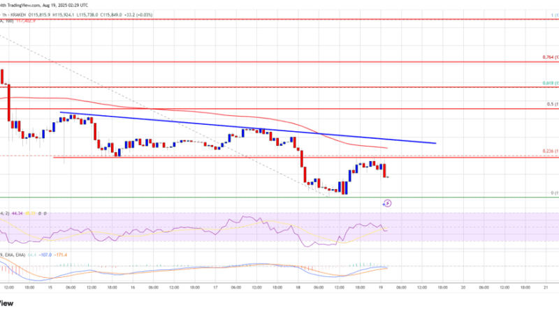 Bitcoin Price Extends Decline, Could Test $112K Before Bulls Return