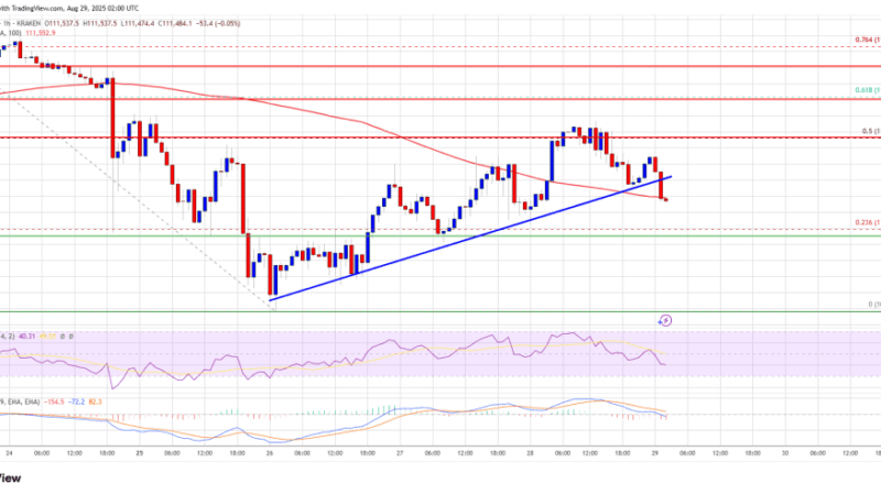 Bitcoin Price Faces Pressure: Technicals Signal Another Decline Ahead