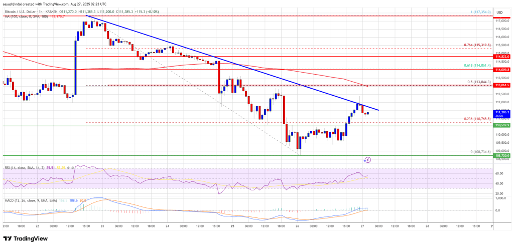 Bitcoin Price Recovery Stalls, Can Bulls Overcome the Key Resistance?