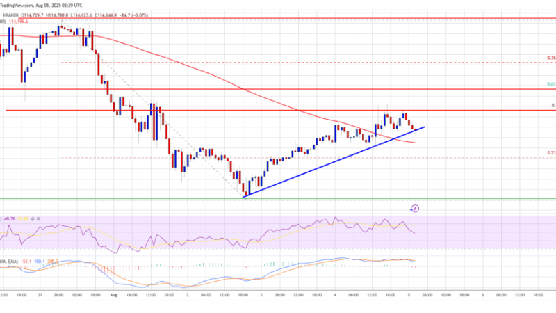 Bitcoin Price Regains Strength – Can the Rebound Turn Explosive?