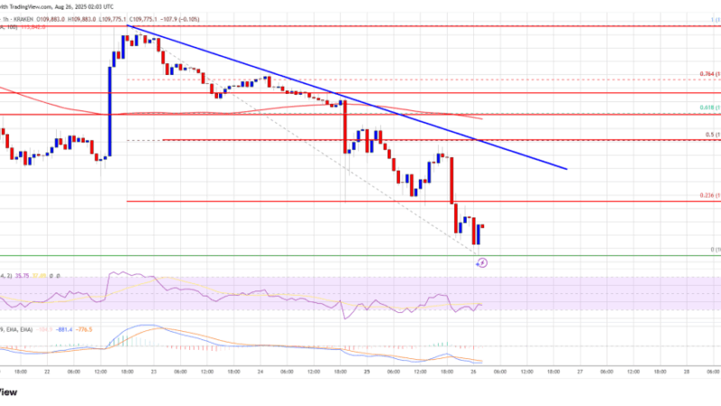Bitcoin Price Slips Below $110K, Is a Bigger Drop Coming?