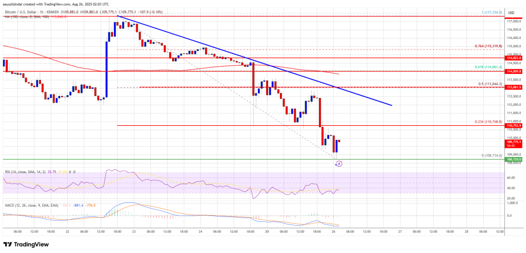 Bitcoin Price Slips Below $110K, Is a Bigger Drop Coming?