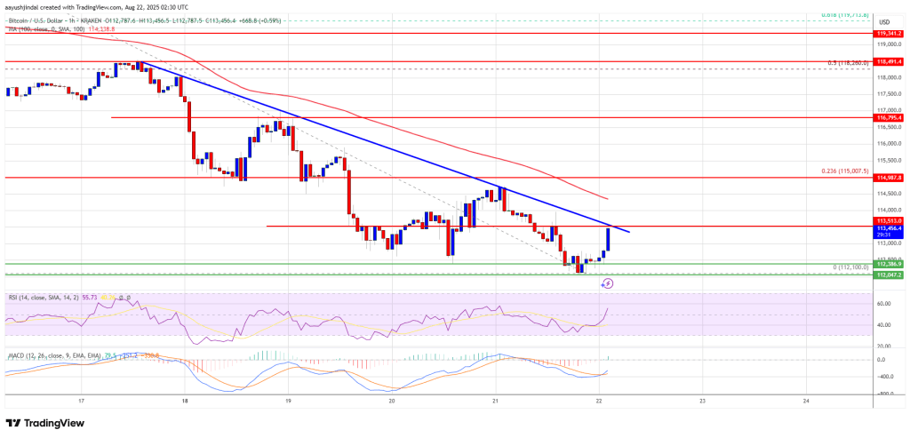Bitcoin Price Stays in Red, Can Bulls Regain Lost Ground Soon?