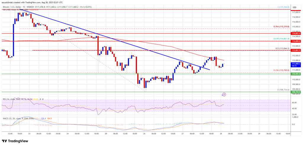 Bitcoin Price Struggles to Rebound – Signs of a Bigger Crash Ahead?