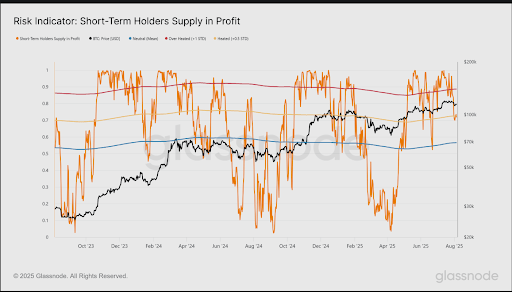 Bitcoin Short-Term Holders Move Into Profit: Is Another Sell-Off Looming?