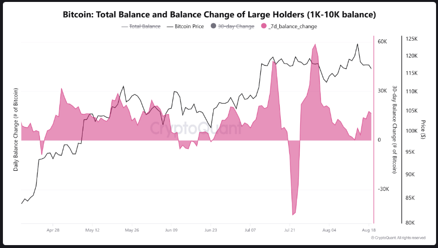 Bitcoin Whales Quietly Stack 16,000 BTC During Downtrend