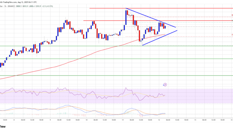 BNB Price Coiling for Breakout—Next Leg Higher in Sight