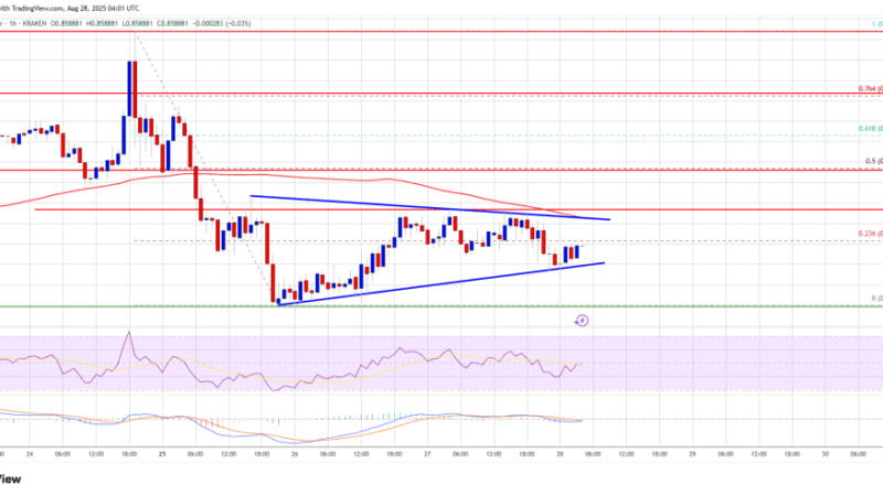 Cardano (ADA) Consolidates Below Resistance – Is Momentum Building Up?