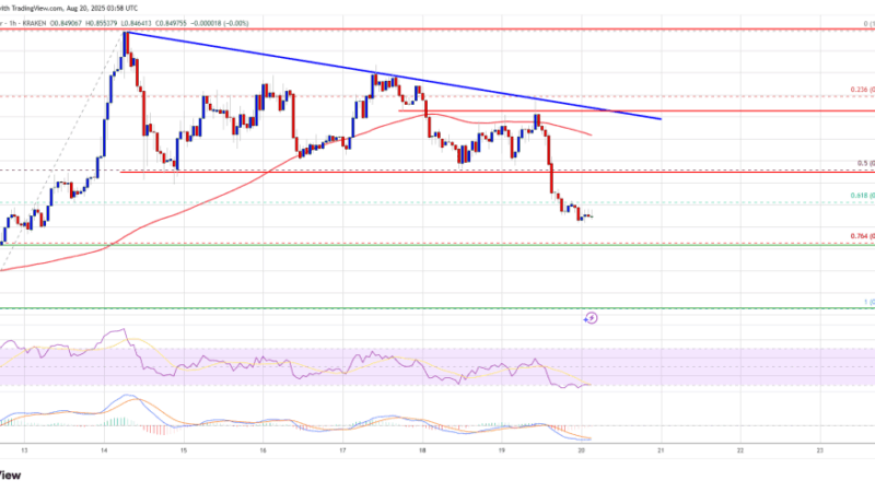 Cardano (ADA) Pulls Back, Will Bears Push It Lower Again?