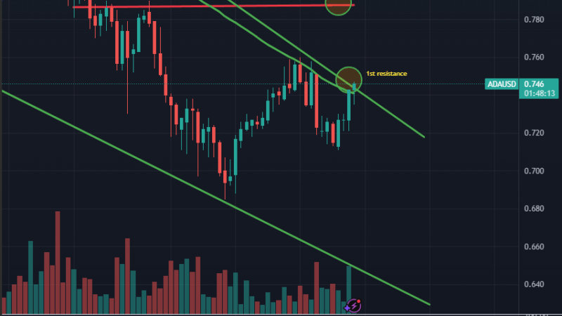 Cardano (ADA) Targets $0.80 As Price Retests Key Level – Is An 85% Jump Ahead?