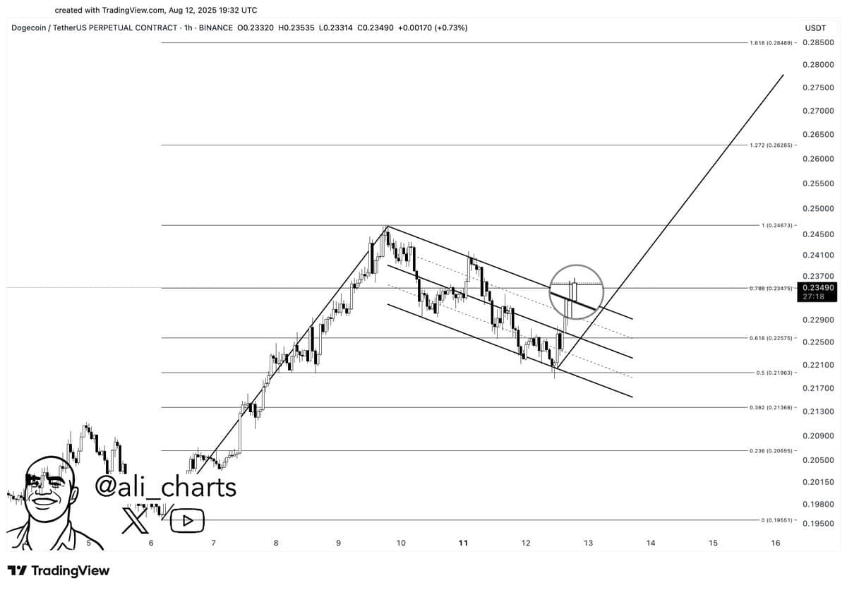DOGE Jumps 22% as Bull Flag Breakout Sparks $0.295 Call