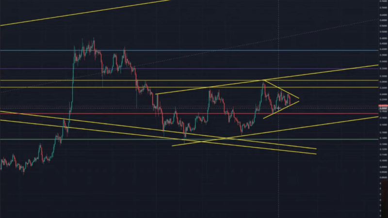 Dogecoin Crash Incoming? Analyst Warns Bulls Are Out Of Time