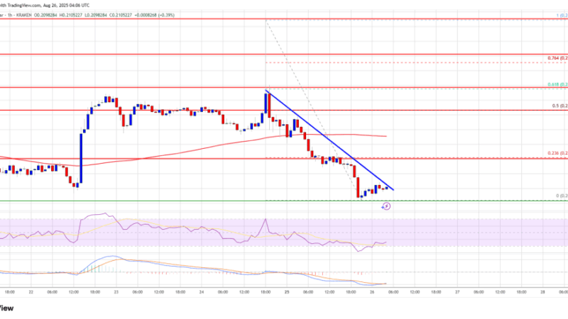 Dogecoin (DOGE) Bears Eye Breakdown Below $0.20 After Steep Correction