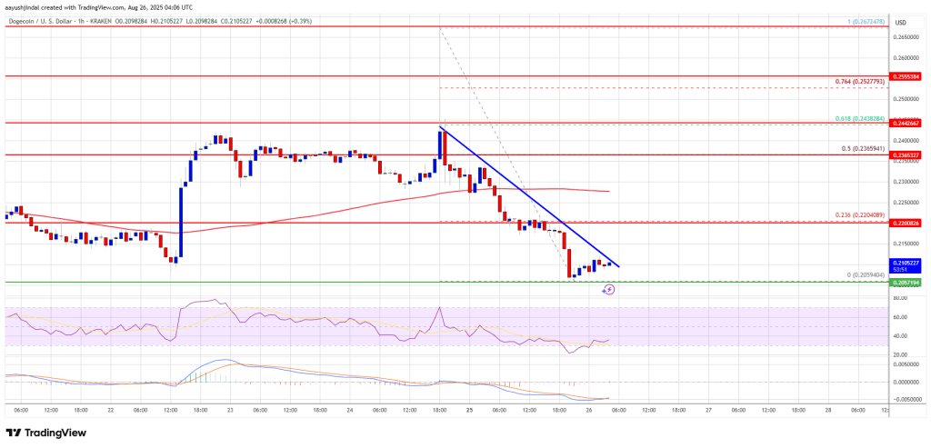 Dogecoin (DOGE) Bears Eye Breakdown Below $0.20 After Steep Correction