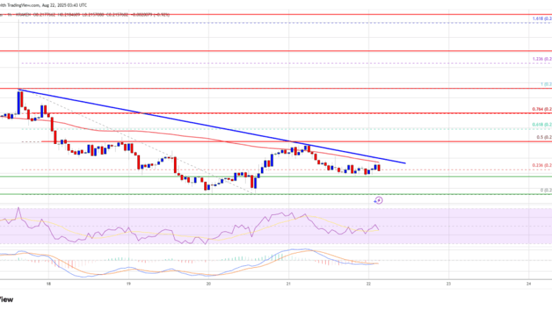 Dogecoin (DOGE) Slips Into Red Zone, Is a Bigger Crash Looming?