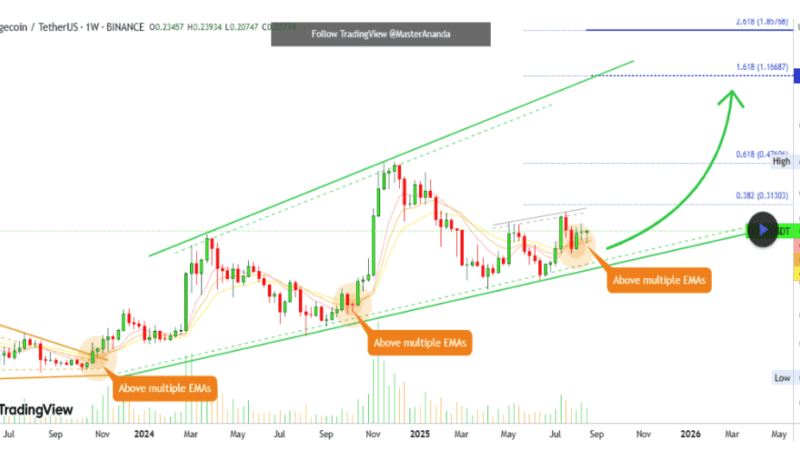 Dogecoin Price Technicals Confirm Support, Mid-Term Target Now $1.85