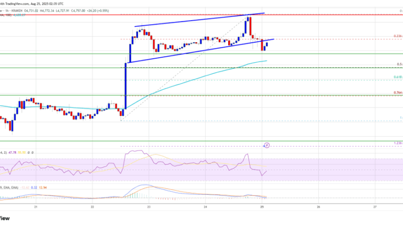 Ethereum Price Hits Fresh High as Bulls Dominate, Bitcoin Slides Lower