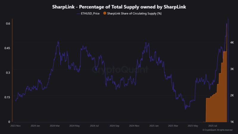 Ethereum Treasury Boom Drives Demand: Can The Market Handle The Risks?