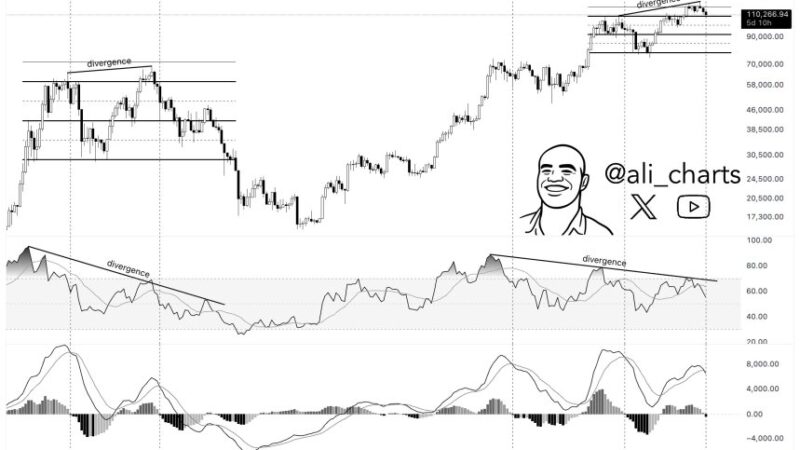 Is The Bitcoin Rally Over? Analyst Forecasts Drop To $94,000 If This Level Doesn’t Hold