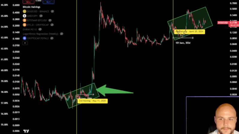 Is The Dogecoin Crash Over? Analyst Says This Is Crucial Now