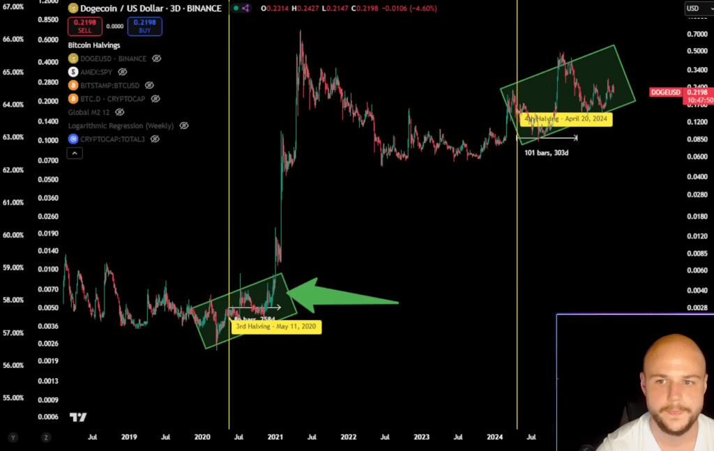 Is The Dogecoin Crash Over? Analyst Says This Is Crucial Now