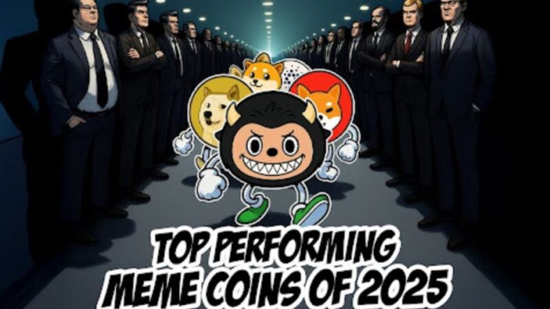 Looking to Invest in Meme Coin Presale? These 5 Projects Might 100x in 2025!