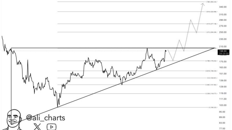 Solana Drops To $185 Support Amid SEC ETF Delay, But Analysts Eye Massive Breakout