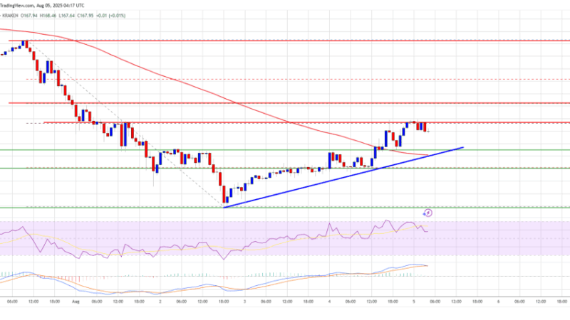 Solana (SOL) Coils for Upside Move – Will Resistance Give Way?