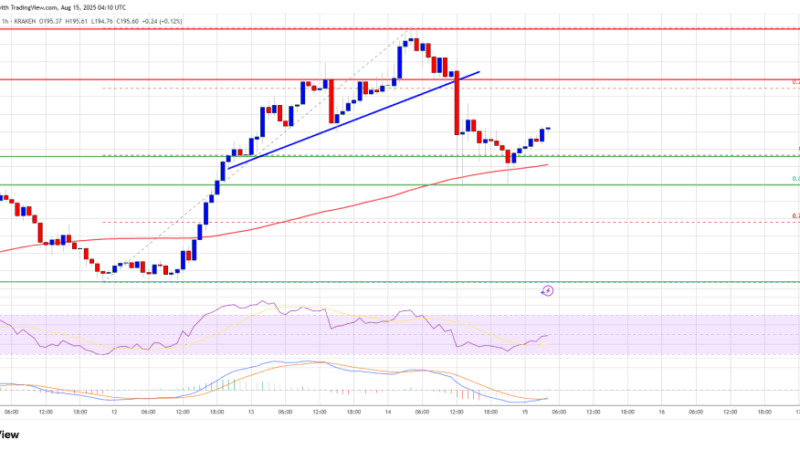 Solana (SOL) Defends Critical Support Zone, Preparing for Next Major Increase?