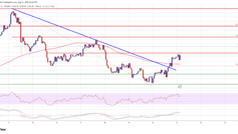 Solana (SOL) Jumps Higher Again, Can Bulls Hold Their Ground?