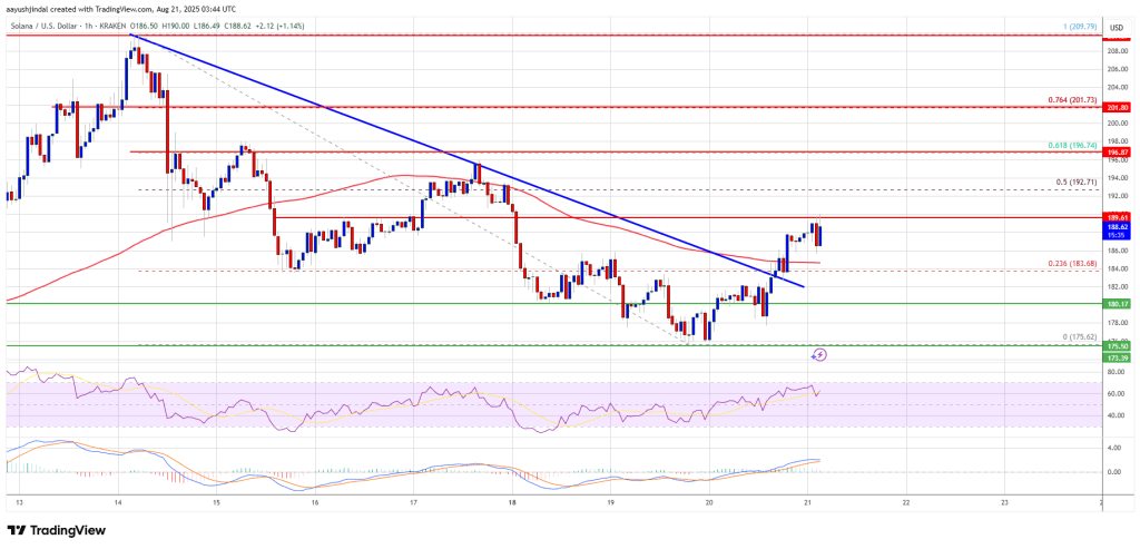 Solana (SOL) Jumps Higher Again, Can Bulls Hold Their Ground?