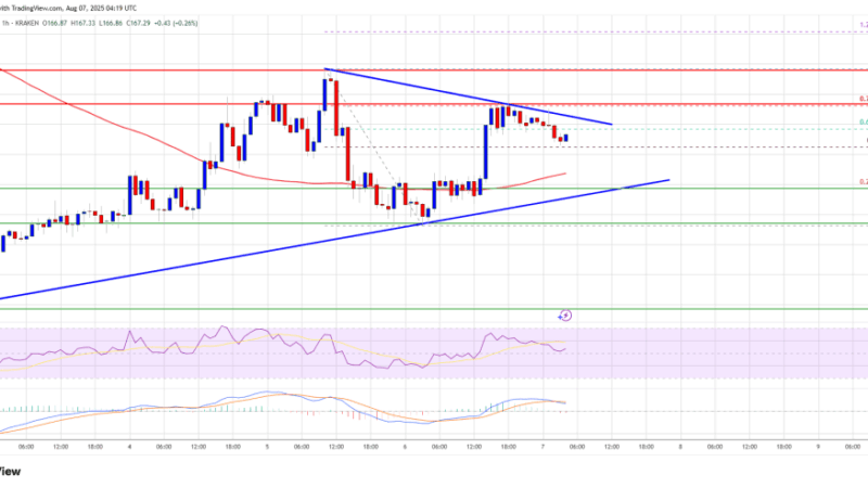Solana (SOL) Poised for Move – Can It Clear This Barrier?