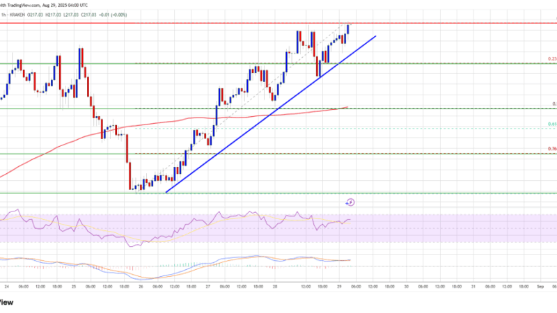 Solana (SOL) Price Explodes Higher – How Long Can Bulls Hold?