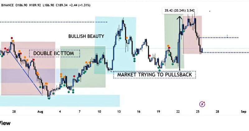 Solana (SOL) Slips Under $190 After Harsh Rejection: What’s Next?