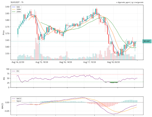 SUI Holds The Line: Rounded Bottom Hints At 13% Breakout Setup