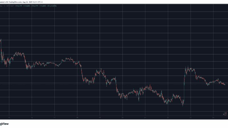 This Week’s Biggest Altcoin Gainers Revealed as BTC Calms at $115K: Weekend Watch