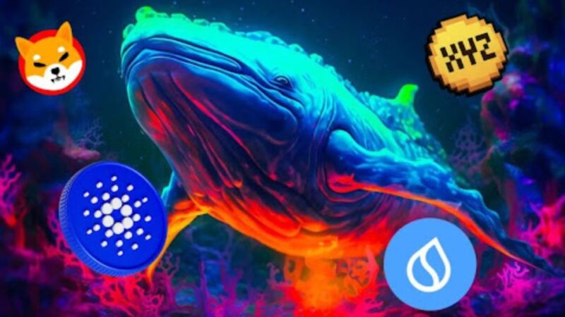 Whales Keep Accumulating These Digital Assets – Here’s How High ADA, SUI, SHIB & XYZVerse (XYZ) Price Climbs If…