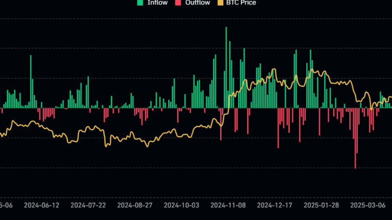 What Is Cathie Wood’s Ark Invest Buying and Selling Amid This Market Correction?