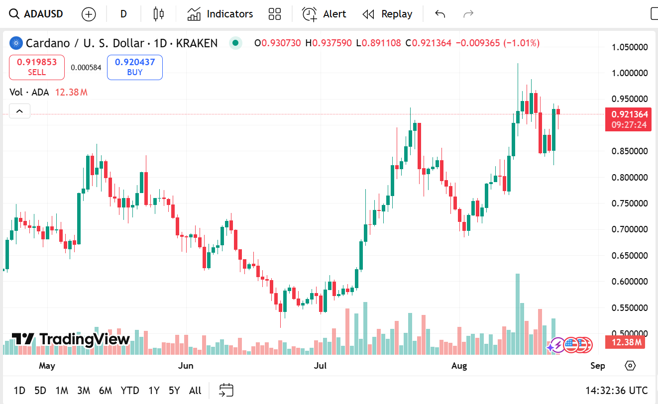 XRP and Cardano Price Updates and The Overview of Remittix Presale