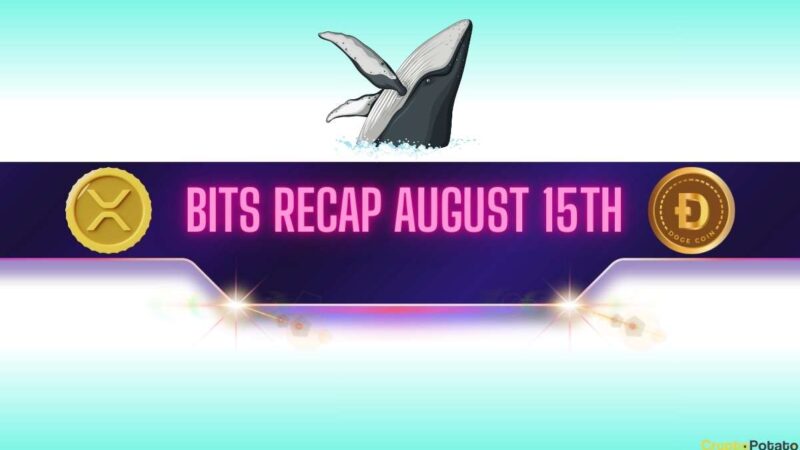 XRP and DOGE Whales Make Big Moves, BNB Set New Record: Bits Recap August 15th