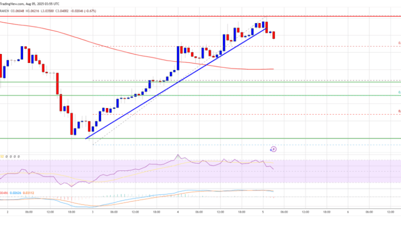 XRP Price at Risk of Correction – Bulls Losing Steam?